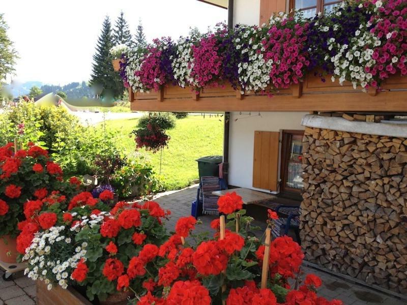 Haus Petra * Oberjoch
